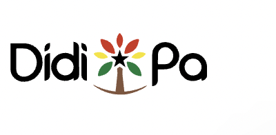 DIDI PA - West African Kitchen - West African Restaurant Germany