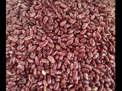 Darling Foods Uganda Ltd - Kafumbe Mukasa Rd, Kampala, Uganda - food shops in Kampala, Uganda - Kampala, Uganda food business - Kampala, Uganda shops