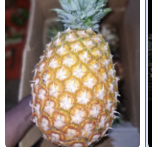 40Miles farm business smc LTD. - after red cross stores, Near MASAJJA B LC OFFICES Lwasa stage, Salaama Rd, Kampala, Uganda - best shops of fruits avocado sugarcane pili pili Vegetables in Kampala, Uganda - African fruits and Vegetables shops