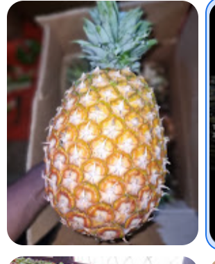 40Miles farm business smc LTD. - after red cross stores, Near MASAJJA B LC OFFICES Lwasa stage, Salaama Rd, Kampala, Uganda - best shops of fruits avocado sugarcane pili pili Vegetables in Kampala, Uganda - African fruits and Vegetables shops