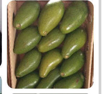 ROKI FRUITS & VEGETABLES LTD. - Church Rd, Kampala, Uganda - fresh avocado green chilli shops in Kampala, Uganda - best African green chilli and avocado shops in Kampala, Uganda