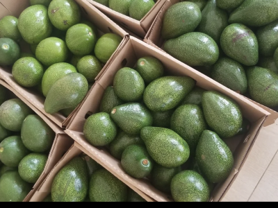 Dase Fine Foods Uganda - Masanafu, Near Cleanex energy, Sentema Rd, Kampala, Uganda - fruits shops in Kampala, Uganda - pineapple avocado pili pili banana shops Kampala, Uganda - African Exotic fruits shops Kampala, Uganda