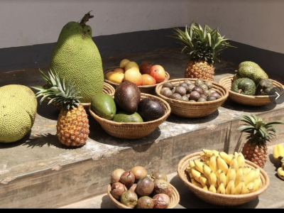 Fresh Fruits & Vegetable Exporters-Pied Tropics LLC - Kinabe Rd, Kampala, Uganda - best fruits shops in Kampala, Uganda - Kampala, Uganda fresh fruits - African best fruits shops in Kampala, Uganda - Exotics fruits Kampala, Uganda