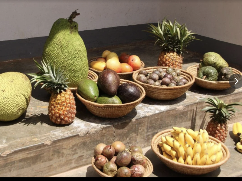 Fresh Fruits & Vegetable Exporters-Pied Tropics LLC - Kinabe Rd, Kampala, Uganda - best fruits shops in Kampala, Uganda - Kampala, Uganda fresh fruits - African best fruits shops in Kampala, Uganda - Exotics fruits Kampala, Uganda
