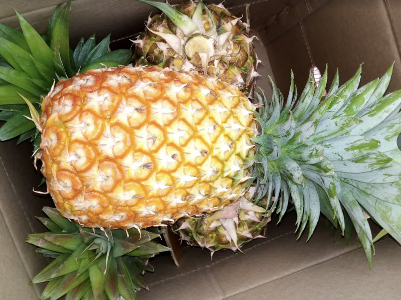 Elegant fruits and vegebles uganda ltd - Sentema Rd, Kampala, Uganda - fresh fruits shops in Kampala, Uganda - Kampala, Uganda fruits
