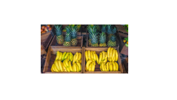 Zahra Food Industries Ltd - Warehouse A3 Kyaggwe Block 113 Plot 750-990 Namanve Industrial Park, Kampala, Uganda - pineapple shops in Kampala, Uganda - fresh ananas pineapple in Kampala, Uganda
