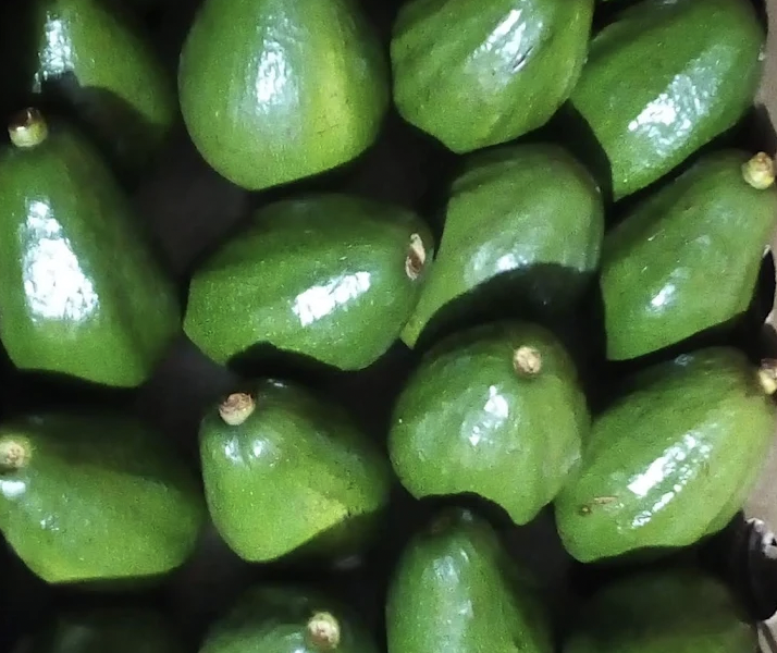 CRISGROW UGANDA LTD (Trading as Lavado ) - Busega kibumbiro, kibumbiro, Uganda - fresh fruits shops in kibumbiro, Uganda - Exotic fruits and Vegetables shops in kibumbiro, Uganda - kibumbiro, Uganda avocado pili pili pineapples banana